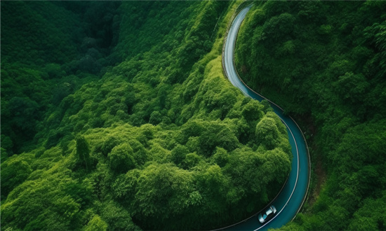 道路應(yīng)急救援行業(yè)發(fā)展趨勢及市場現(xiàn)狀分析