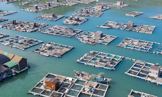 中國成品油運輸行業(yè)發(fā)展前景及投資風險預測分析2023