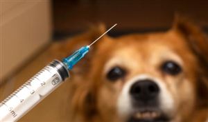 中國(guó)狂犬疫苗行業(yè)市場(chǎng)調(diào)研2023  狂犬疫苗出口市場(chǎng)廣闊