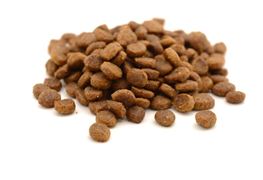 國(guó)內(nèi)寵物食品市場(chǎng)銷(xiāo)售額 2023寵物食品行業(yè)發(fā)展?fàn)顩r調(diào)查