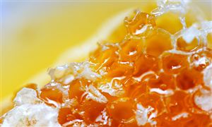 2023健康食品市場(chǎng)現(xiàn)狀及前景機(jī)遇分析調(diào)研報(bào)告
