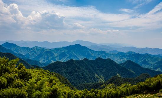 森林防火行業(yè)現(xiàn)狀 “十四五”時期森林防火行業(yè)發(fā)展研究