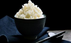 速食米飯市場深度調(diào)研2023
