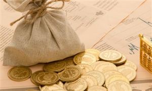 社?；鸷嫌?jì)持股量3898.49萬股 社保信息化行業(yè)市場(chǎng)深度調(diào)研