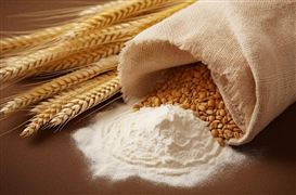 2023我國烘焙食品行業(yè)的生產(chǎn)規(guī)模擴(kuò)大