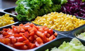 2023素食食品市場發(fā)展現(xiàn)狀：素食預(yù)制菜前景廣闊