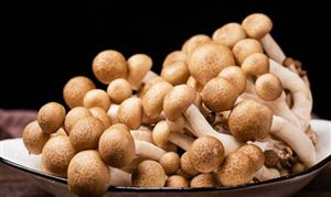 食用菌行業(yè)現(xiàn)狀及競(jìng)爭(zhēng)分析：我國(guó)西部食用菌產(chǎn)業(yè)也在崛起