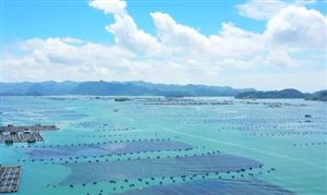 海洋牧場行業(yè)發(fā)展現(xiàn)狀分析與目標(biāo)：到2030年中國的海洋牧場總產(chǎn)量將達(dá)到1400萬噸