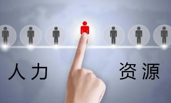 2024人力資源服務行業(yè)深度調研與發(fā)展格局