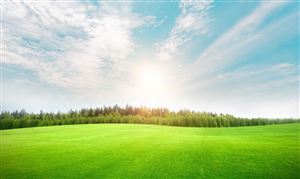我國化肥市場供應總體充足 中國新型肥料行業(yè)發(fā)展趨勢分析