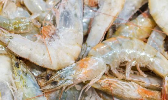 水產(chǎn)品加工行業(yè)市場發(fā)展趨勢分析：到2026年我國人均水產(chǎn)品消費(fèi)量將達(dá)到23千克