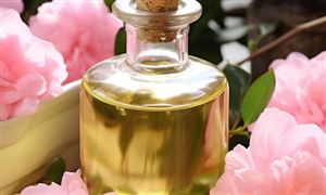 未來(lái)優(yōu)良油茶種苗的有效推廣與普及   將進(jìn)一步保障山茶油企業(yè)的原材料供應(yīng)