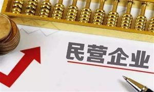 第五個(gè)3萬億城市 來了 萬億俱樂部如何煉成 民營經(jīng)濟(jì)行業(yè)市場全景調(diào)研