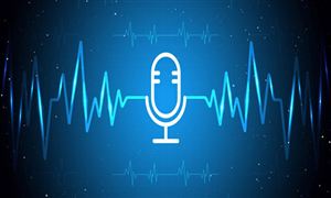 語音識別行業(yè)發(fā)展現(xiàn)狀及投資機遇深度調(diào)研2024
