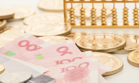 2024年中國(guó)金融服務(wù)外包行業(yè)市場(chǎng)分析及發(fā)展前景預(yù)測(cè)報(bào)告