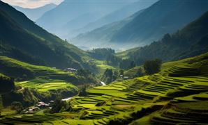 鄉(xiāng)村旅游產(chǎn)業(yè)現(xiàn)狀調(diào)研：2023年我國農(nóng)民收入比上年實(shí)際增長7.6%