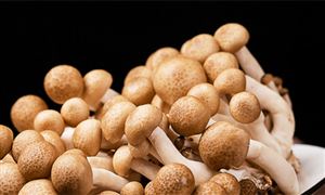食用菌行業(yè)生產(chǎn)模式解析及未來需求前景2024