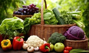 2024年綠色食品行業(yè)發(fā)展現(xiàn)狀及重點(diǎn)企業(yè)經(jīng)營情況