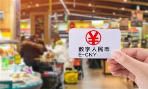 微軟和螞蟻數(shù)科：將參與香港金管局數(shù)字貨幣項目 數(shù)字貨幣行業(yè)市場分析及發(fā)展前景預(yù)測報告