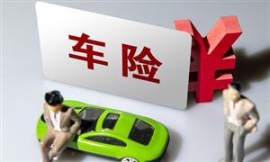 新能源汽車價(jià)格戰(zhàn)將引發(fā)車險(xiǎn)降價(jià)嗎 汽車保險(xiǎn)行業(yè)市場深度調(diào)研及投資策略預(yù)測報(bào)告