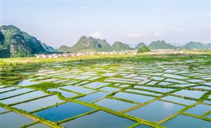 2024生態(tài)農(nóng)業(yè)產(chǎn)業(yè)現(xiàn)狀及未來發(fā)展趨勢、規(guī)劃分析