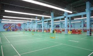 2024年中國羽毛球館行業(yè)的產(chǎn)業(yè)鏈供需布局及發(fā)展現(xiàn)狀