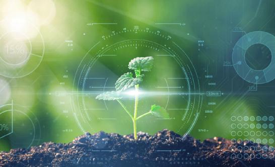 農(nóng)業(yè)生物技術(shù)行業(yè)深度分析2024