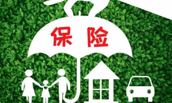 旅游保險行業(yè)發(fā)展現(xiàn)狀分析、市場需求與機遇