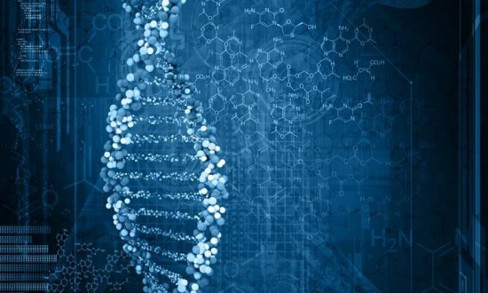 2024年中國生物計算行業(yè)的市場發(fā)展現(xiàn)狀及投資前景分析