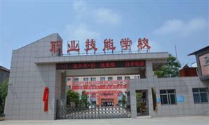 2024年中國職業(yè)學校行業(yè)的市場發(fā)展現狀及發(fā)展前景分析