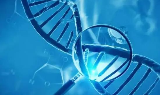 2024生命科學行業(yè)市場現(xiàn)狀與投資調(diào)研