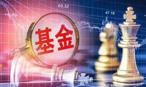 2024中國股票基金行業(yè)市場全景調(diào)研與發(fā)展前景 外資機(jī)構(gòu)積極看好中國資產(chǎn)