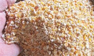 2024年中國谷物磨制飼料行業(yè)的產(chǎn)業(yè)鏈上下游結(jié)構(gòu)及發(fā)展前景分析