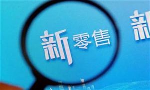 2024新零售行業(yè)深度調(diào)研與投資戰(zhàn)略咨詢(xún)報(bào)告 蘇寧易購(gòu)大店攻略提速