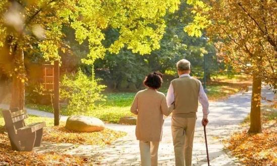 前景預測：到2050年老年旅游消費總額預計將達2.4萬億元以上