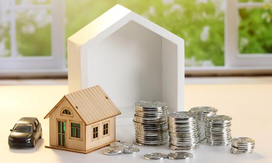 2024中國房地產(chǎn)金融市場深度全景調研及投資前景分析