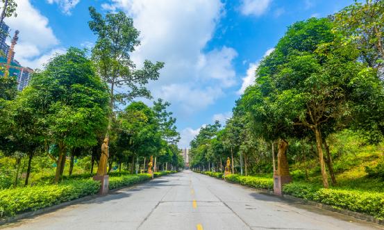 2024年中國社區(qū)建設(shè)行業(yè)現(xiàn)狀調(diào)查及未來展望
