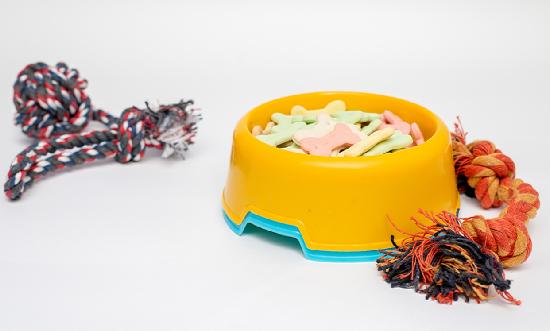 寵物經(jīng)濟(jì)行業(yè)市場如何?韓國寵物產(chǎn)品銷量超過嬰兒用品