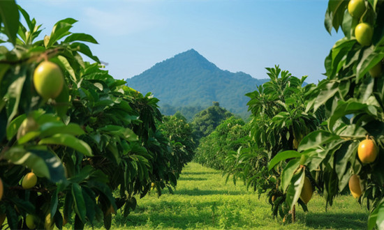 農(nóng)林牧漁業(yè)行業(yè)現(xiàn)狀及前景趨勢(shì)分析
