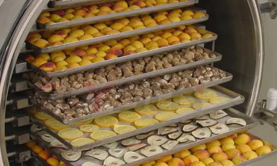 食品凍干機行業(yè)投資分析：預(yù)計到2029年將達到1023.46億元