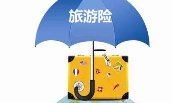 2024年中國旅游保險(xiǎn)行業(yè)的產(chǎn)業(yè)鏈上下游結(jié)構(gòu)及投資趨勢分析