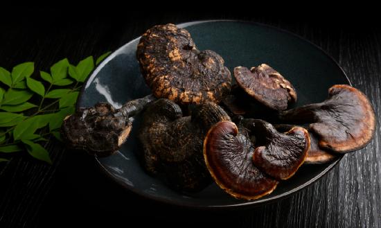 靈芝行業(yè)現(xiàn)狀及前景分析 靈芝藥食同源的開發(fā)和應用將會迎來新的突破