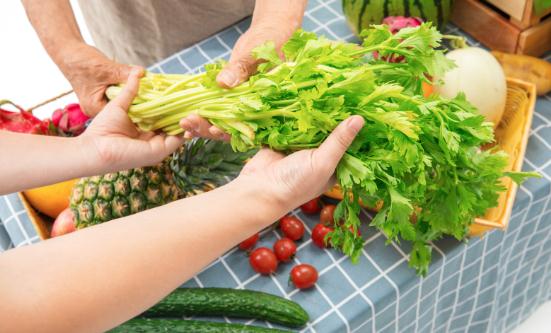 2024食材配送行業(yè)市場深度分析及未來發(fā)展前景預測