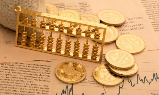 2024中國投資金融行業(yè)市場前瞻與未來投資戰(zhàn)略分析