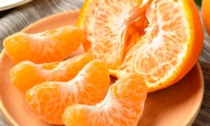 柑橘行業(yè)深度分析及未來發(fā)展趨勢預(yù)測