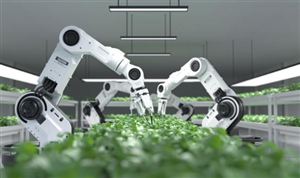 AI賦能農(nóng)業(yè)新未來：2025-2030年中國AI+智慧農(nóng)業(yè)行業(yè)市場調(diào)查與前景展望