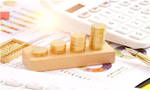 破局與重構(gòu)：2025年消費(fèi)金融行業(yè)風(fēng)險(xiǎn)管控升級(jí)與全球化布局戰(zhàn)略分析