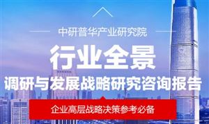 2025年中國(guó)硅鋼行業(yè)：技術(shù)突圍與綠色轉(zhuǎn)型下的投資新藍(lán)海