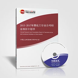 2013-2017年煤化工行業(yè)公司創(chuàng)業(yè)項目計劃書